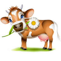 a friendly cow 